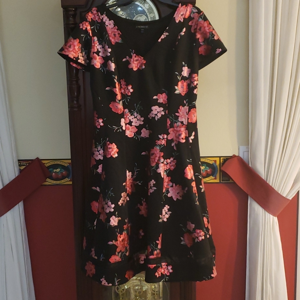 Lane Bryant Fit and Flare Dress